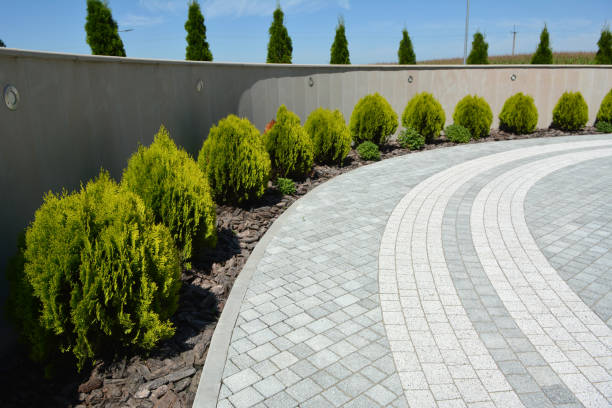 Best Commercial Driveway Pavers  in Townsend, DE